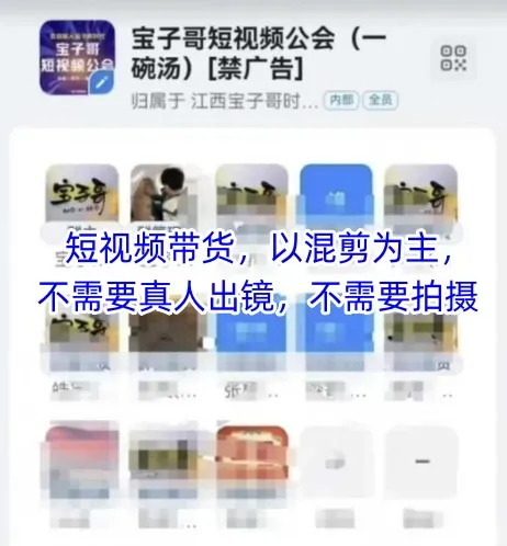 宝子哥头部团队短视频带货,以混剪为主,不需要真人出镜,不需要拍摄【更新26年3月】