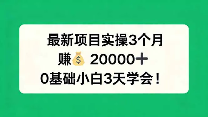 最新项目实操3个月，赚钱20000+，0基础小白3天学会！